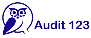 Audit 123